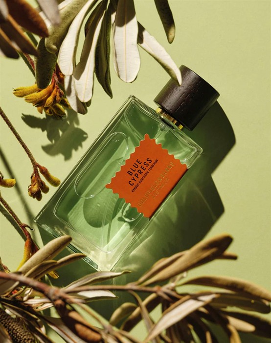 Wood Infusion - 100 ml